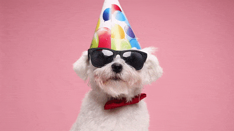 20 Happy Birthday GIF Ideas for 2022 